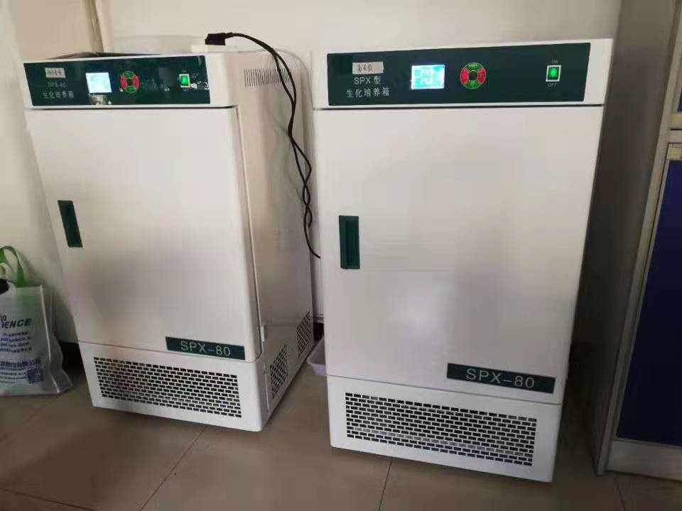 Incubadora bioquímica constante-temperatura